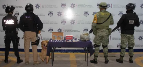 Aseguraron SEDENA, GN y SSC de Puebla diversas dosis de posible droga en el Mercado Unión