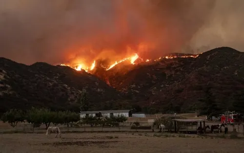 Arde sin control incendio forestal en California