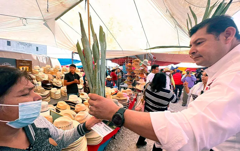 alejandro-armenta-tepexi-plantas-maguey
