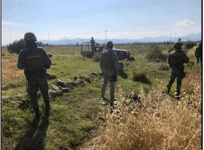 El Gabinete de seguridad realizó aseguramientos de armas de fuego y de droga en distintos estados