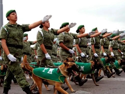 Propone el PT servicio militar obligatorio para mujeres