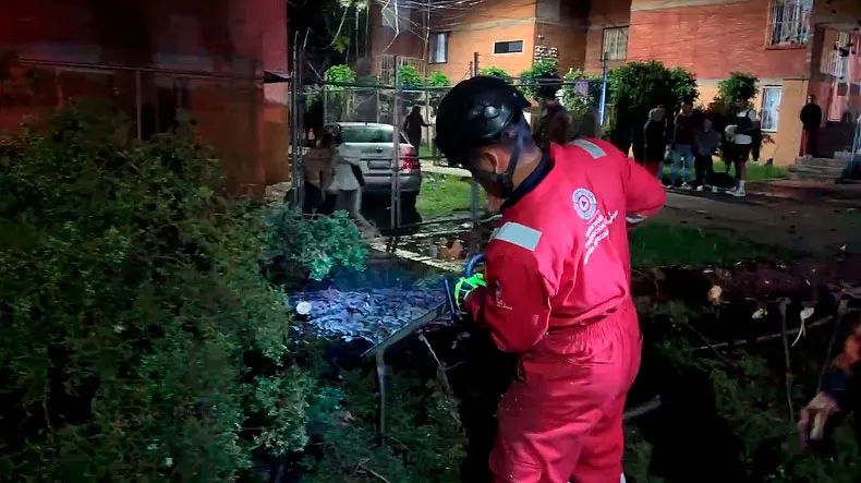 Caida Arbol Agua Santa