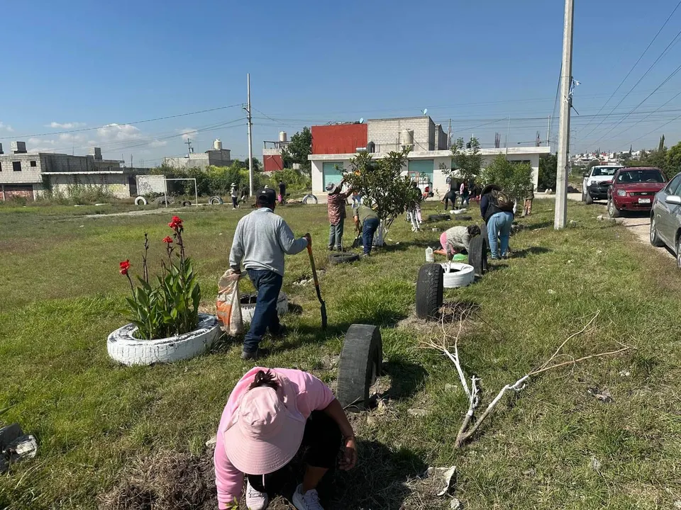 Ayto Pue Reforestacion Raices Del Futuro