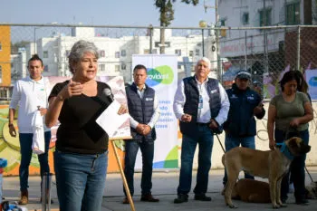De 301 denuncias por maltrato animal en el municipio de Puebla, solo ocho han tenido sanción