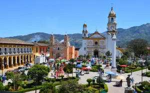 Corett levantará diagnóstico en 25 municipios poblanos