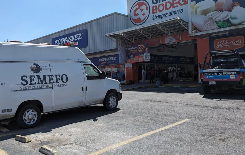 feto humano