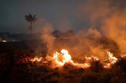 Crece tragedia en la Amazonia con nuevos incendios