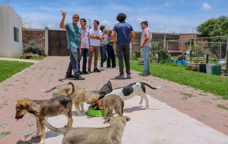 Apoyo comunitario y protección animal será una realidad en Puebla: Armenta