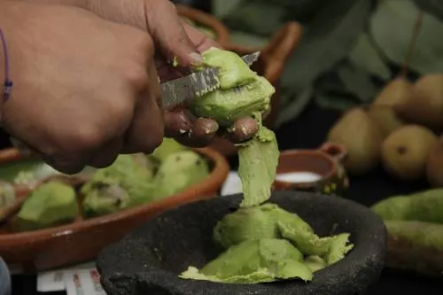Tochimilco cosecha al año tres mil 500 toneladas de aguacate
