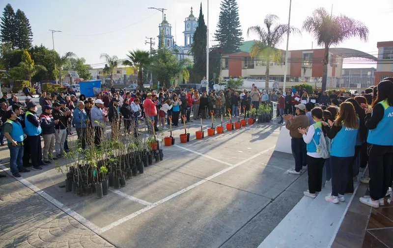 congreso-pue-coronango-adopta-un-arbol