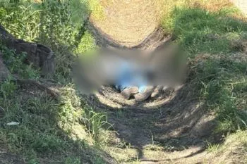 Campesinos hallan cadáver con signos de violencia y heridas de bala en Tecamachalco
