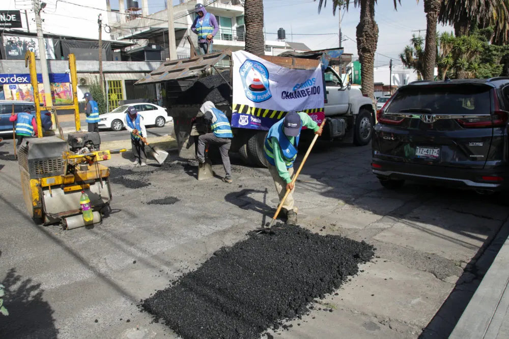 Bacheo