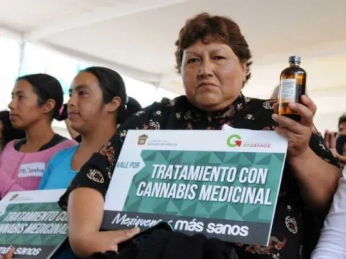 Listos para 2018 fármacos a base de marihuana en el mercado