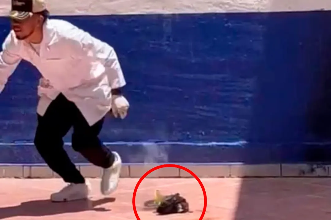 Gato Asesinado Educem Penjamo Guanajuato