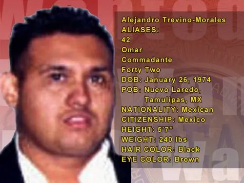 Muere el Z-42, presunto hermano del Z-40