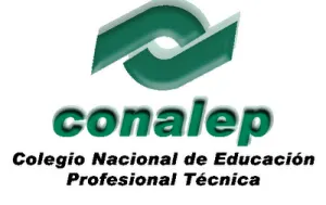 Al descubierto negocio familiar en el CONALEP
