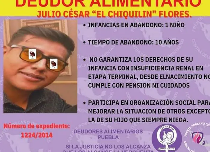 Deudores Alimentarios