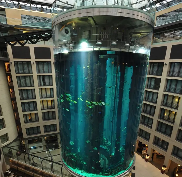 AquaDom