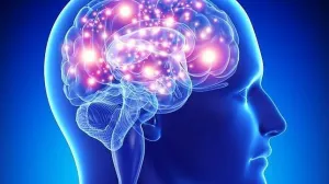 Cerebro puede generar reserva cognitiva para sustituir neuronas muertas