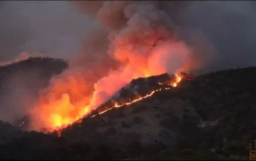 Incendio en La Primavera afecta al menos 600 hectáreas