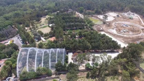 Haghenbeck quiere cederle al gobierno hectáreas de bosques que están invadidas