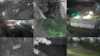 Lluvias en Puebla: autoridades atienden árboles caídos y monitorean ríos y vasos reguladores