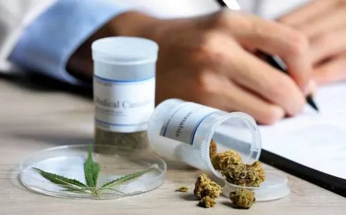 Reino Unido anuncia legalización de la marihuana medicinal