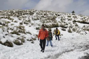 Frente frío 33 reforzará los efectos de la quinta tormenta invernal