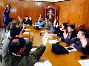Crea Cabildo de San Pedro Programa Hogares de Bien