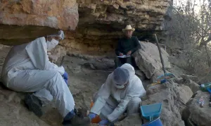 Científicos analizan ADN de maíz primigenio de Tehuacán