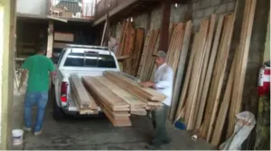 Decomisa Profepa 15.7 metros cúbicos de madera en Puebla