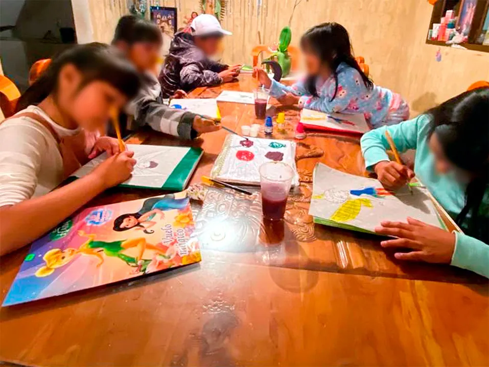Iedep Proyecto Educativo De Vinculacion Social