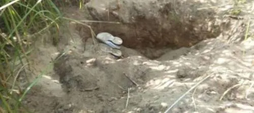 Encuentran cuerpo de mujer semienterrado en terreno de Huejotzingo