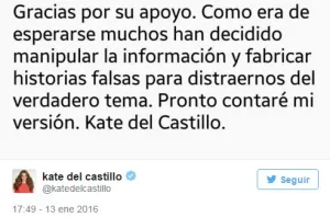 Acusa Del Castillo manipulación en mensajes con El Chapo