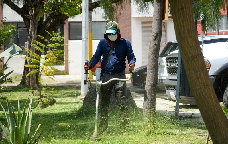 Inspecciona Pepe Chedraui labores de chapeo y rehabilitación en el parque Las Palmas