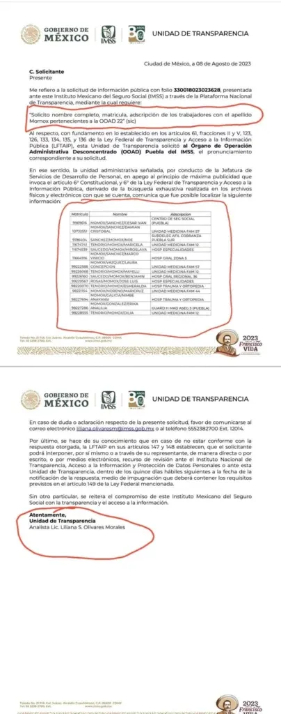 damian-momox-imss