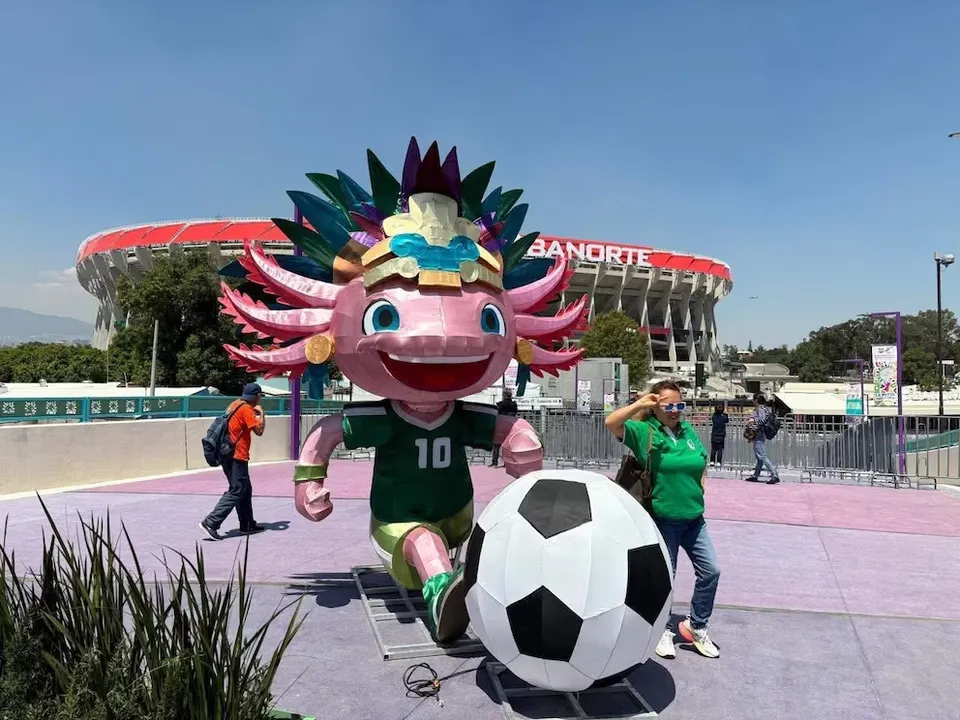 Ajolote Mascota Cdmx