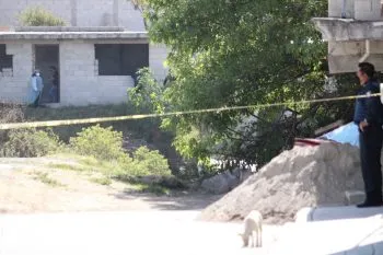 Hallan restos humanos devorados por perros en la colonia Jorge Murad