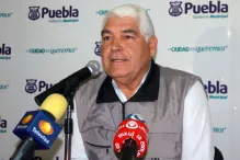 Noventa por ciento de canes callejeros capturados a diario se sacrifica