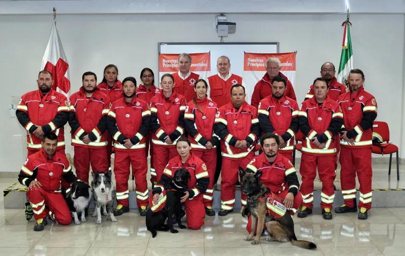 Perritos cruz roja