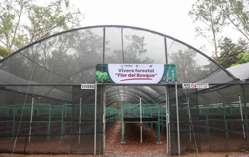 Gobierno de Puebla inaugura vivero forestal de vanguardia con 5 millones de pesos