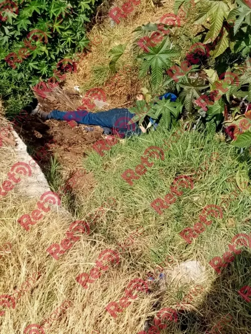 Hallan el cadáver de un joven maniatado en Bosques de Manzanilla