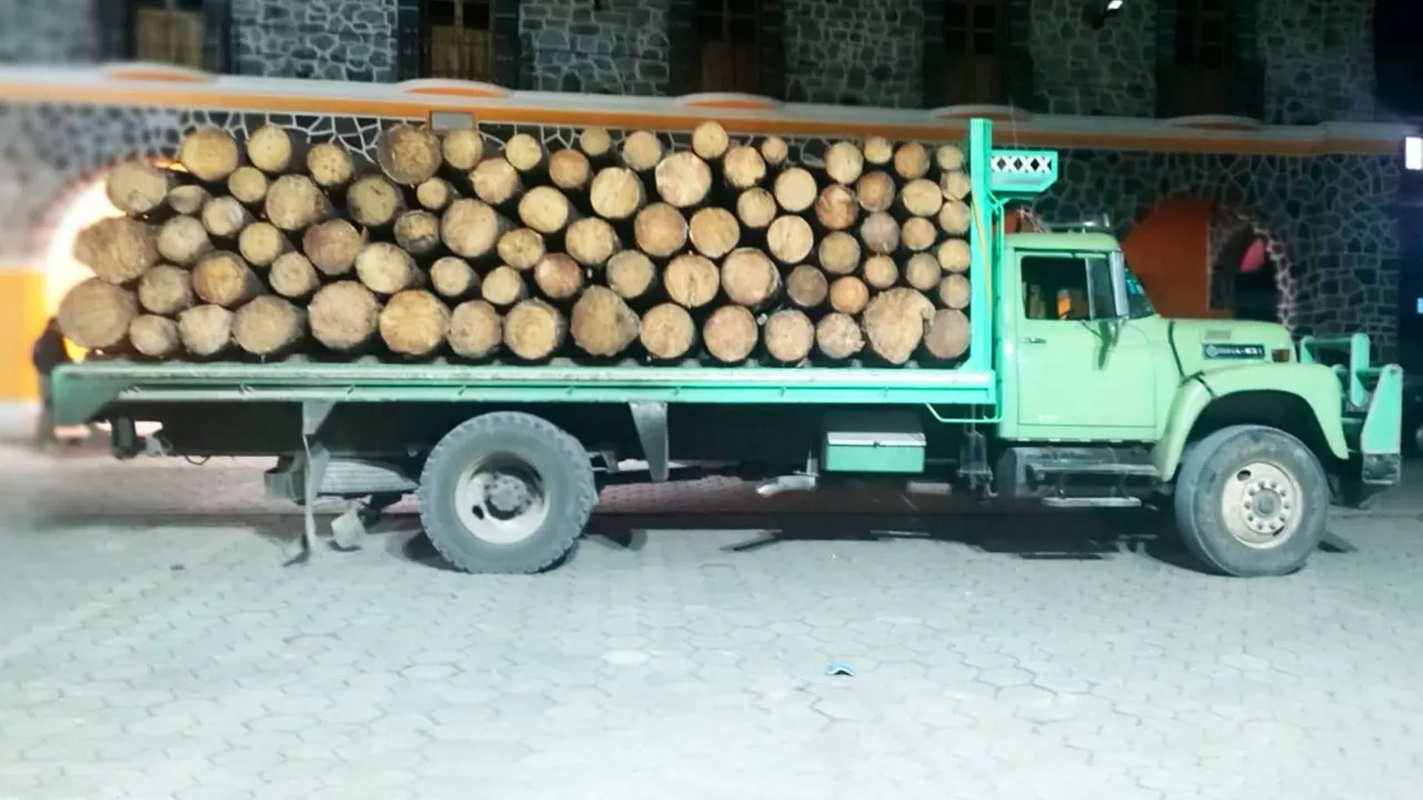 madera de procedencia ilícita