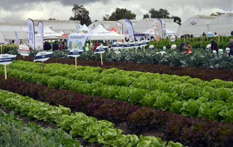 buap-15-expo-horticola