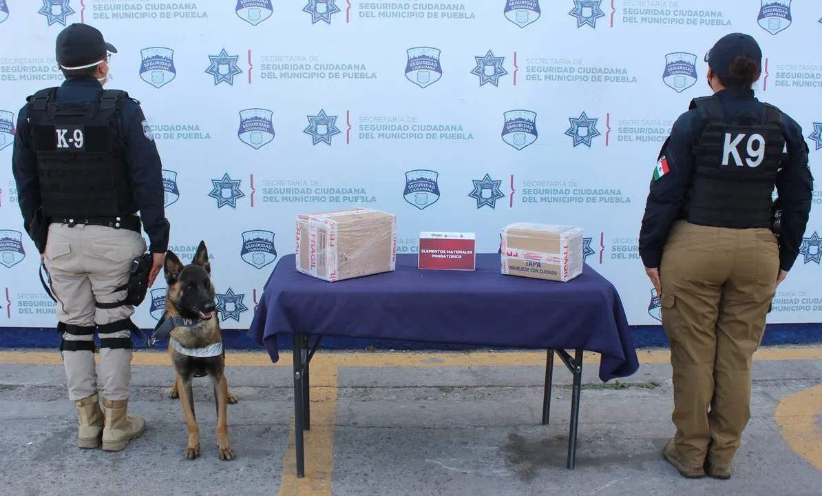 Aseguró policía municipal de Puebla alrededor de 1.5 kilogramos de posible droga