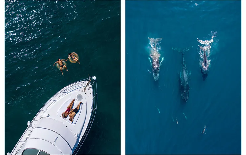 aventura-sobre-el-mar-ballenas-ixtapa-zihuatanejo