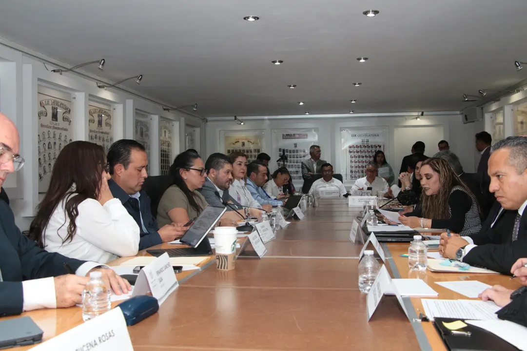 Comparecencia Amanda Gomez Nava Comision De Control