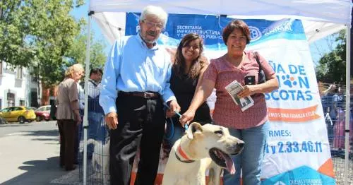 Continúan jornadas de adopción de mascotas “dame una oportunidad” en el barrio de Analco