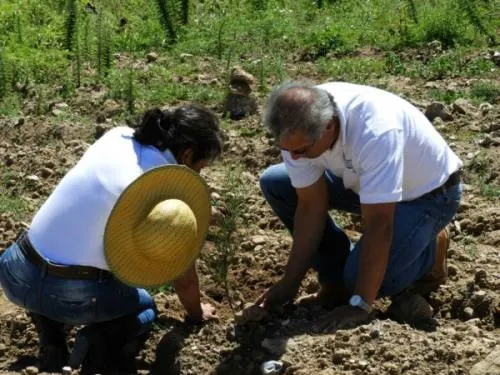 Participa Ceaspue en arranque de programa de reforestación  “Un Nuevo Bosque”