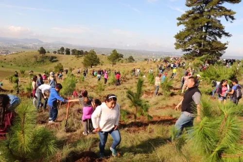 Trabaja Gobierno de San Pedro Cholula en pro del medio ambiente